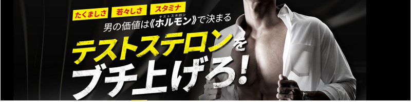 ���C�����I�e�X�g�X�e���������T�v���y�e�X�g�X�e�����K�[�z���T�C�g